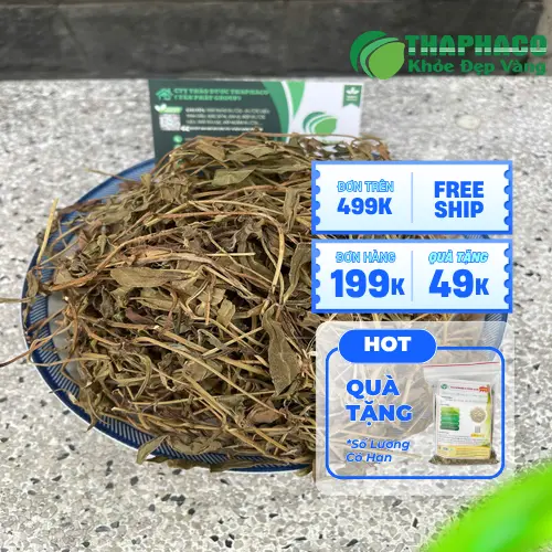 Quy trình sấy khô Sài Đất chuẩn tại THAPHACO