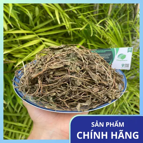 Tác dụng phụ của sài đất khi dùng sai cách
