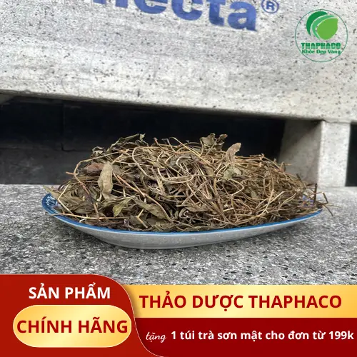 Sài Đất Sấy Khô của THAPHACO