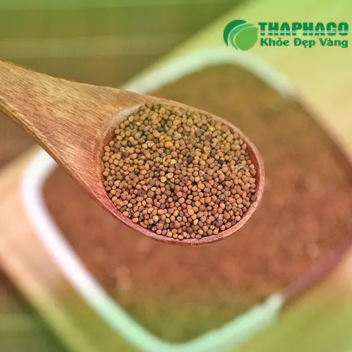 Tác dụng phụ Thỏ Ty Tử