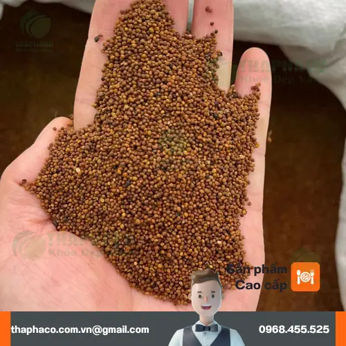 Đối tượng không nên dùng Thỏ Ty Tử