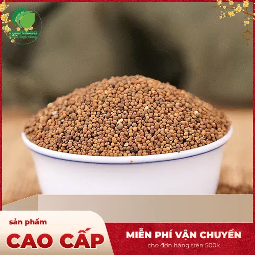 Thỏ Ty Tử không phải thuốc cường dương