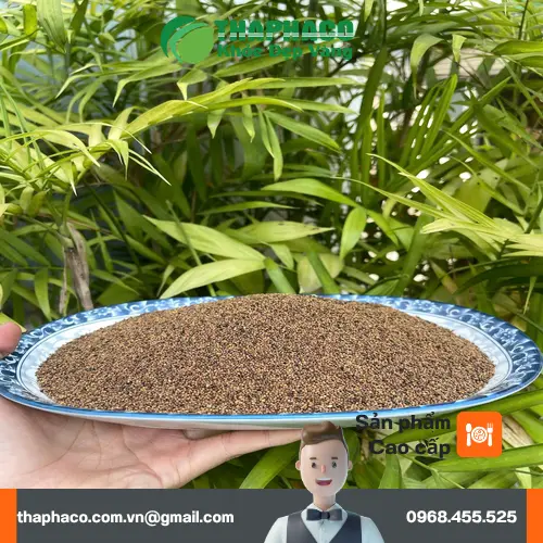 Thỏ Ty Tử khô được đóng gói cẩn thận tại THAPHACO