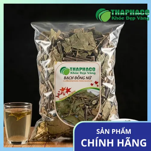 Hình ảnh cây Bạch Đồng Nữ tươi với lá và hoa trắng