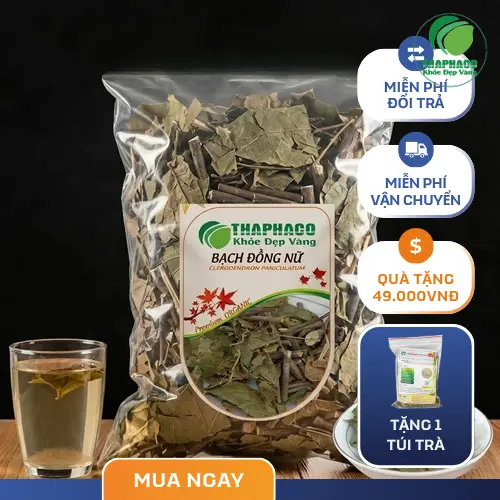 Bạch Đồng Nữ là gì