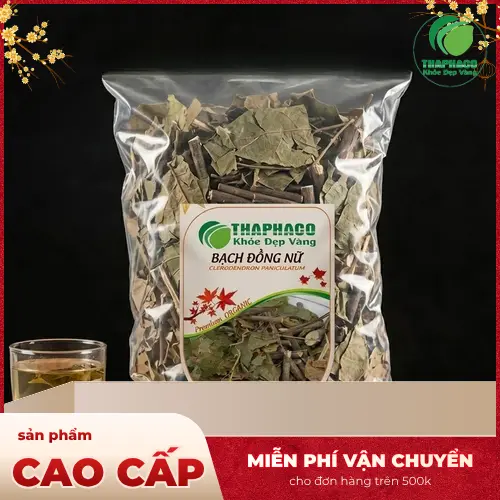Bạch Đồng Nữ sấy khô loại 1 tại THAPHACO