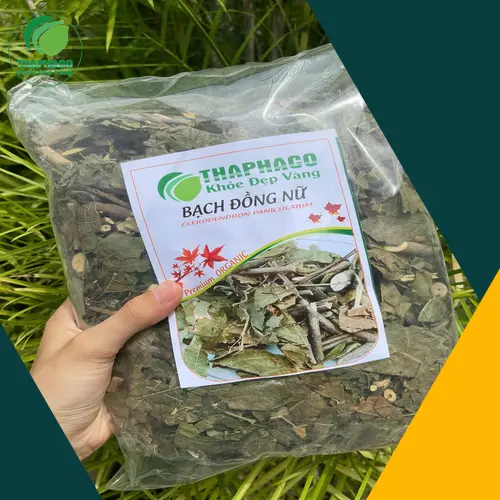 Bạch Đồng Nữ có độc không