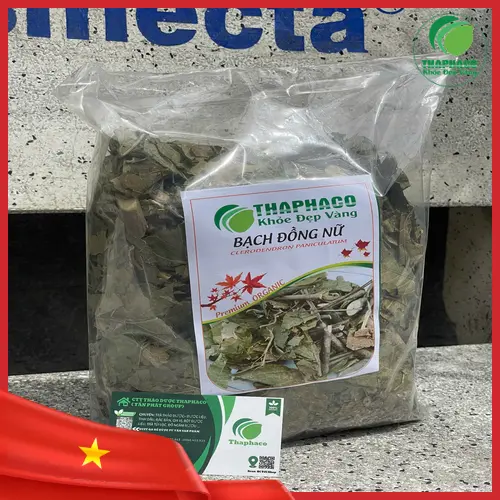 Bạch Đồng Nữ khô đã được sơ chế và phơi khô