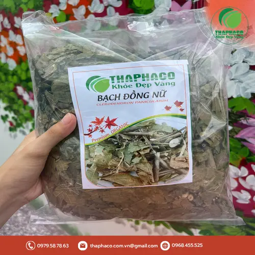 Lá Bạch Đồng Nữ phơi khô