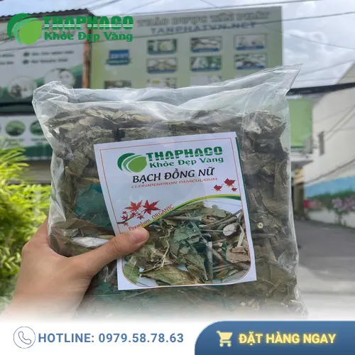 Địa chỉ mua Bạch Đồng Nữ sấy khô uy tín tại TP.HCM