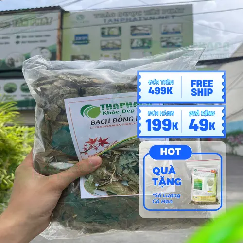 Sử dụng Bạch Đồng Nữ an toàn