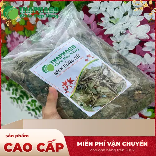 Bạch Đồng Nữ là thảo dược hỗ trợ, không thay thế thuốc chữa bệnh