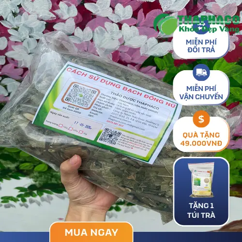 Địa chỉ mua Bạch Đồng Nữ khô THAPHACO
