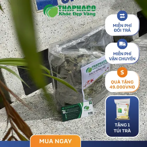 Mua Bạch Đồng Nữ sấy khô tại THAPHACO