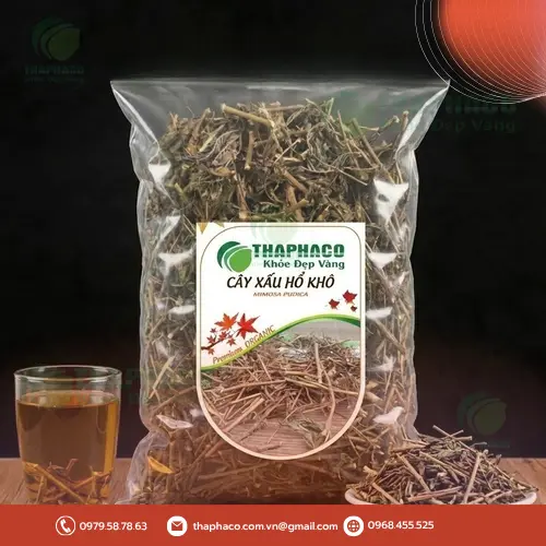 Hình ảnh cây xấu hổ khô chất lượng cao tại THAPHACO