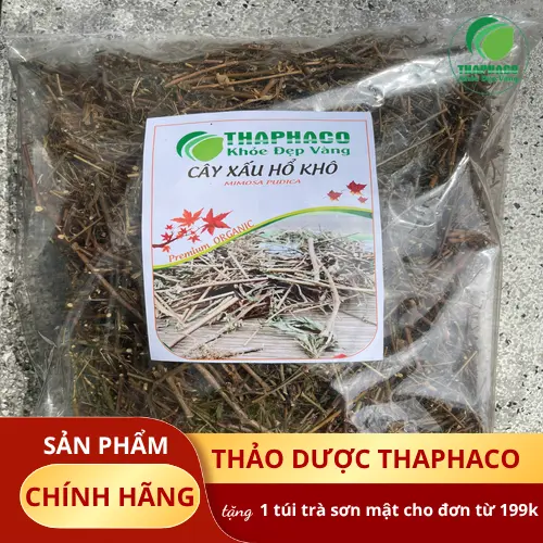 Giải đáp các câu hỏi thường gặp về cây xấu hổ khô