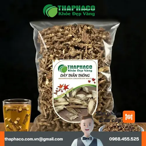Hình ảnh cây thần thông toàn thân mọc tự nhiên