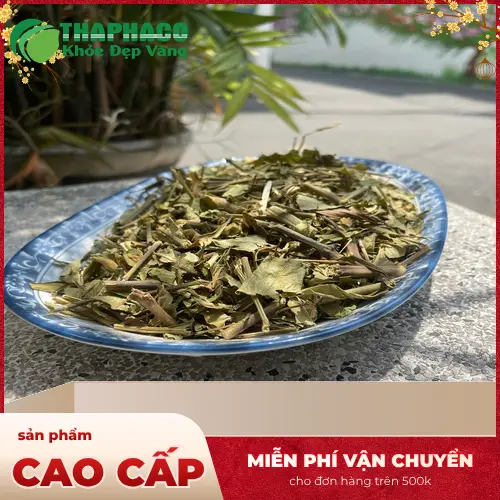 Môi trường bảo quản Hoàn Ngọc khô