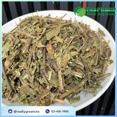 Kiểm tra Hoàn Ngọc khô định kỳ