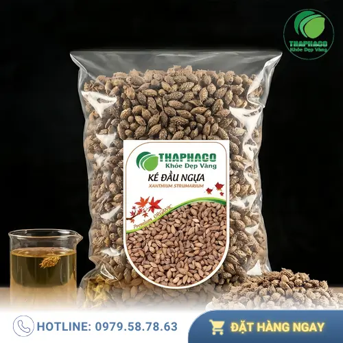Hình ảnh cây ké đầu ngựa khô được phơi khô tự nhiên tại THAPHACO