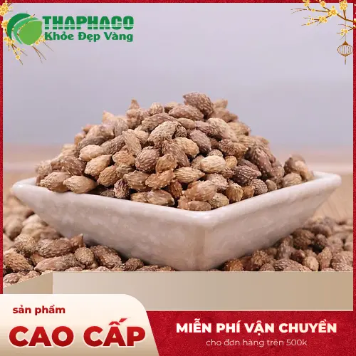 Cách dùng Thương Nhĩ Tử khô đúng cách
