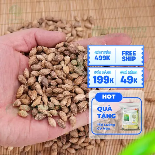 Hình ảnh chuẩn bị nguyên liệu ké đầu ngựa khô trước khi nấu