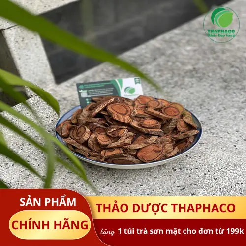 Lát cắt Kê Huyết Đằng