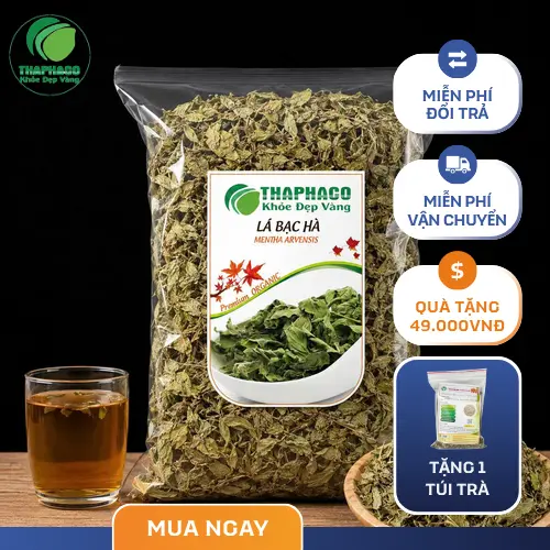Hình ảnh lá bạc hà khô tự nhiên tại Thaphaco