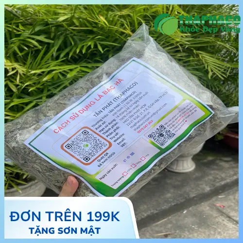 Cách pha trà bạc hà loãng cho trẻ em