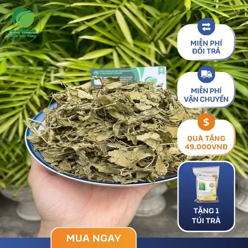 Pha trà lá bạc hà khô