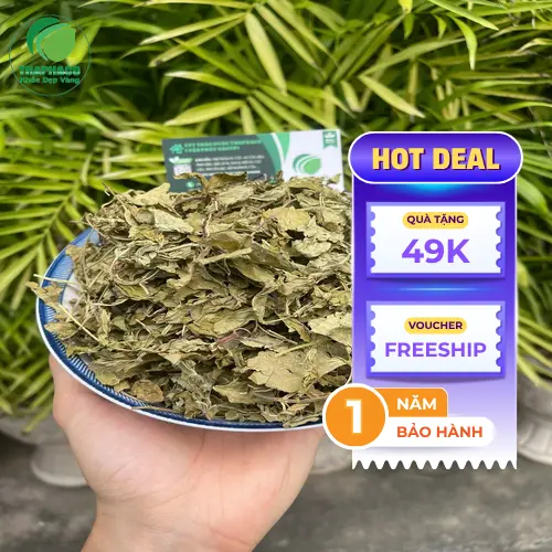 Quy trình đóng gói bạc hà khô tại THAPHACO