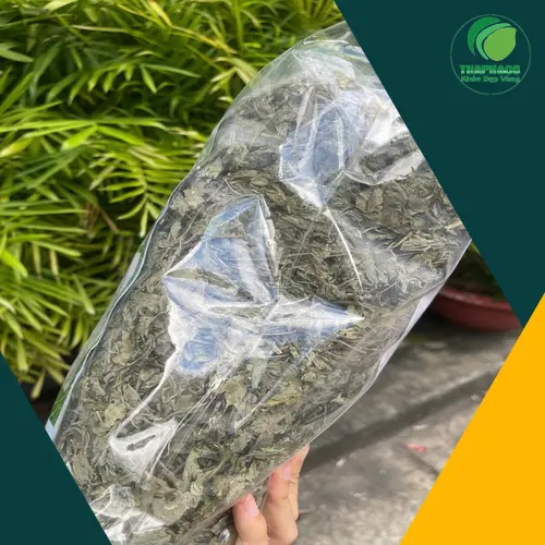 Phụ huynh nên cẩn trọng khi sử dụng trà bạc hà cho trẻ em