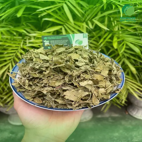 Các cách sử dụng lá bạc hà khô THAPHACO đa dạng