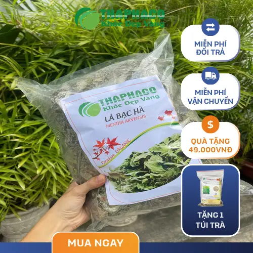 Lưu ý khi sử dụng bạc hà khô