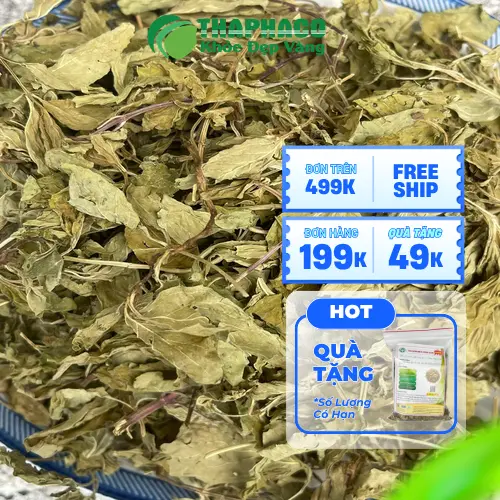 THAPHACO cung cấp lá bạc hà khô chất lượng