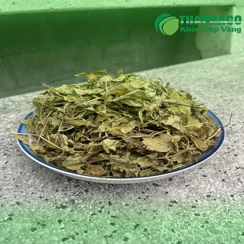 THAPHACO cung cấp lá bạc hà khô chất lượng