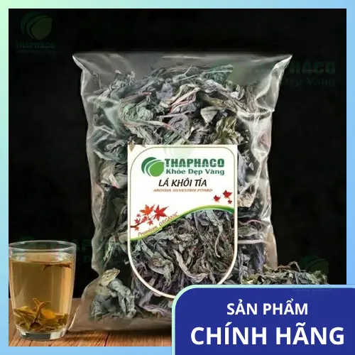 Lá khôi tía khô và những điều cần biết