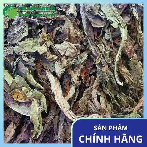 Lá Khôi Tía khô chất lượng tại THAPHACO
