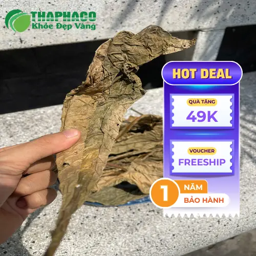 Sản phẩm Lá Khôi Tía sấy khô chất lượng từ THAPHACO