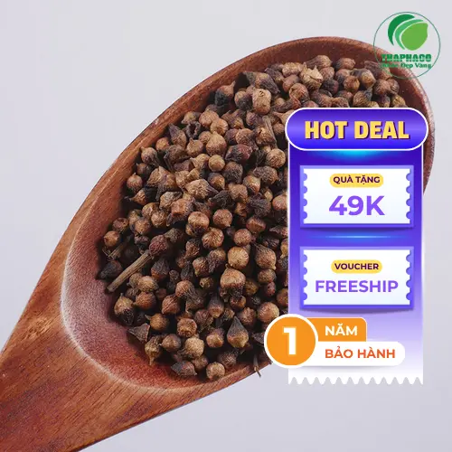 Cách dùng Nụ Vối khô hiệu quả