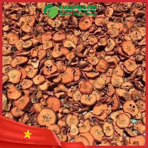 Táo mèo khô được bảo quản không đúng cách