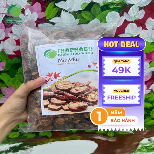 Lưu ý khi sử dụng táo mèo
