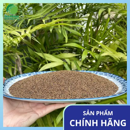 Tham khảo ý kiến chuyên gia y tế trước khi dùng Thỏ Ty Tử
