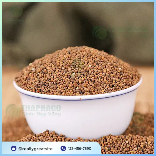 Hình ảnh minh họa thận trọng khi dùng thảo dược