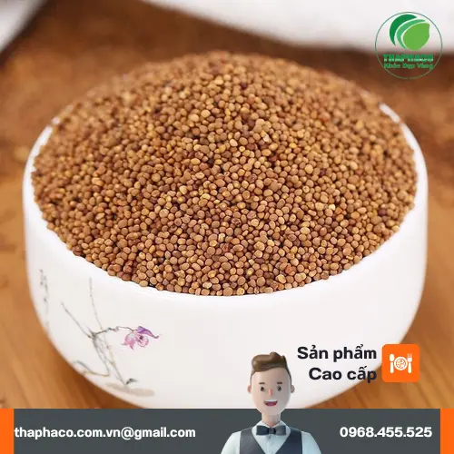 Sử dụng Thỏ Ty Tử đúng cách để đạt hiệu quả tốt nhất