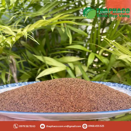 Lưu ý khi sử dụng Thỏ Ty Tử