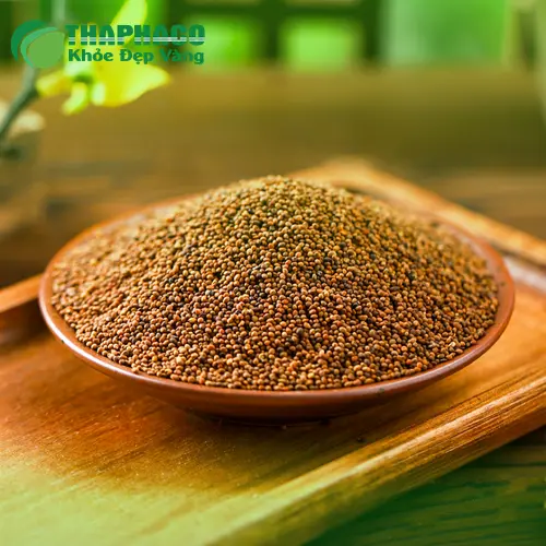Thỏ Ty Tử và những lưu ý khi sử dụng