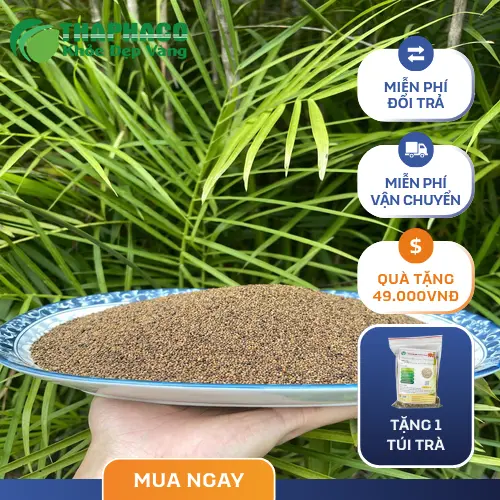Giải đáp các câu hỏi thường gặp về Thỏ Ty Tử sấy khô