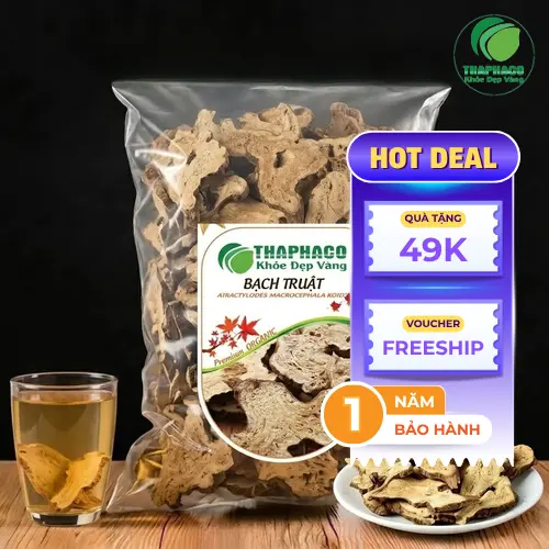 Bạch Truật khô chất lượng tại THAPHACO