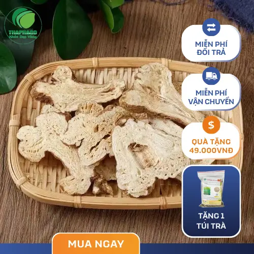 Quy trình đóng gói Bạch Truật khô tại THAPHACO